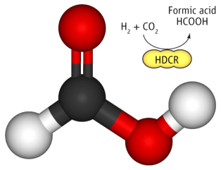 Formic-acid-3D-ball-stick