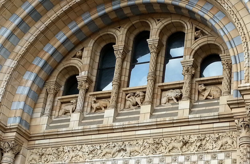 2_NHM_Detail